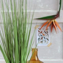 Mica Decorations Kunstpflanze Gras - 35 x 92 x 35 cm -Günstiges Deko Geschäft 0109fd1d7eea4d2f8d910fbda6b51de9 scaled