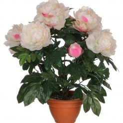 Mica Decorations Kunstpflanze Pfingstrosen - Lachs