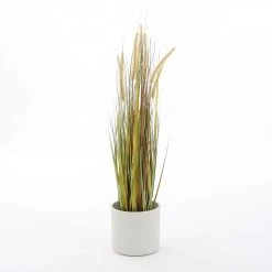 Mica Decorations Kunstpflanze Federgras Foxtail 14 Mica Decorations Kunstpflanze Federgras Foxtail -Günstiges Deko Geschäft 04f0a2eb0f63477dbbc6d82fb5e2b683 scaled