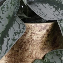 Mica Decorations Vase Oliver -Günstiges Deko Geschäft 0703863994f94ab4b4c2ecfa26979f6c scaled