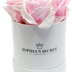 Flowforia Rosenbox rund weiß rosa Rose 10 cm