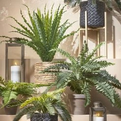 Mica Decorations Kunstpflanze Cycas-Palme - 34 x 33 x 34 cm - Durchmesser: 34 cm -Günstiges Deko Geschäft 0d9fc5711618412f8865d6a85ff838c3 1 scaled