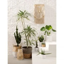 Eva Padberg Collection Windlicht Flint (2-teilig) - Bambus massiv -Günstiges Deko Geschäft 1000026548 190603 10325400002 MOOD GALLERYIMAGES P000000001000026548 mood