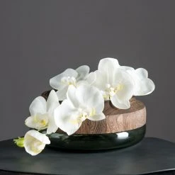 Leonardo Vase Colletto II - Glas / Paulownia massiv - Grün / Braun -Günstiges Deko Geschäft 1000143867 181113 08195625 GALLERYIMAGES P000000001000143867