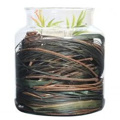 Kayoom Dekoglas Flora V 10 Kayoom Dekoglas Flora V -Günstiges Deko Geschäft 1000156944 190215 13351900446 GALLERYIMAGES P000000001000156944