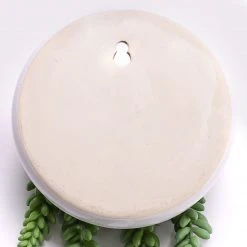 Twentyfour Kunstpflanze Ranken - Grün -Günstiges Deko Geschäft 1000166645 190327 06255300066 GALLERYIMAGES P000000001000166645