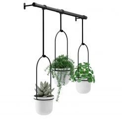 Umbra Pflanzenaufhänger Triflora - Melamin / Eisen / Stahldraht - Weiß / Schwarz 14 Umbra Pflanzenaufhänger Triflora - Melamin / Eisen / Stahldraht - Weiß / Schwarz -Günstiges Deko Geschäft 1000219045 200727 17331500090 DETAILS P000000001000219045