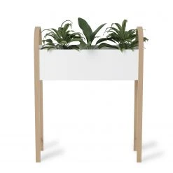 Umbra Pflanzentopf Grove - Esche massiv / Polyresin - Mehrfarbig -Günstiges Deko Geschäft 1000219208 200728 09534900024 DETAILS P000000001000219208