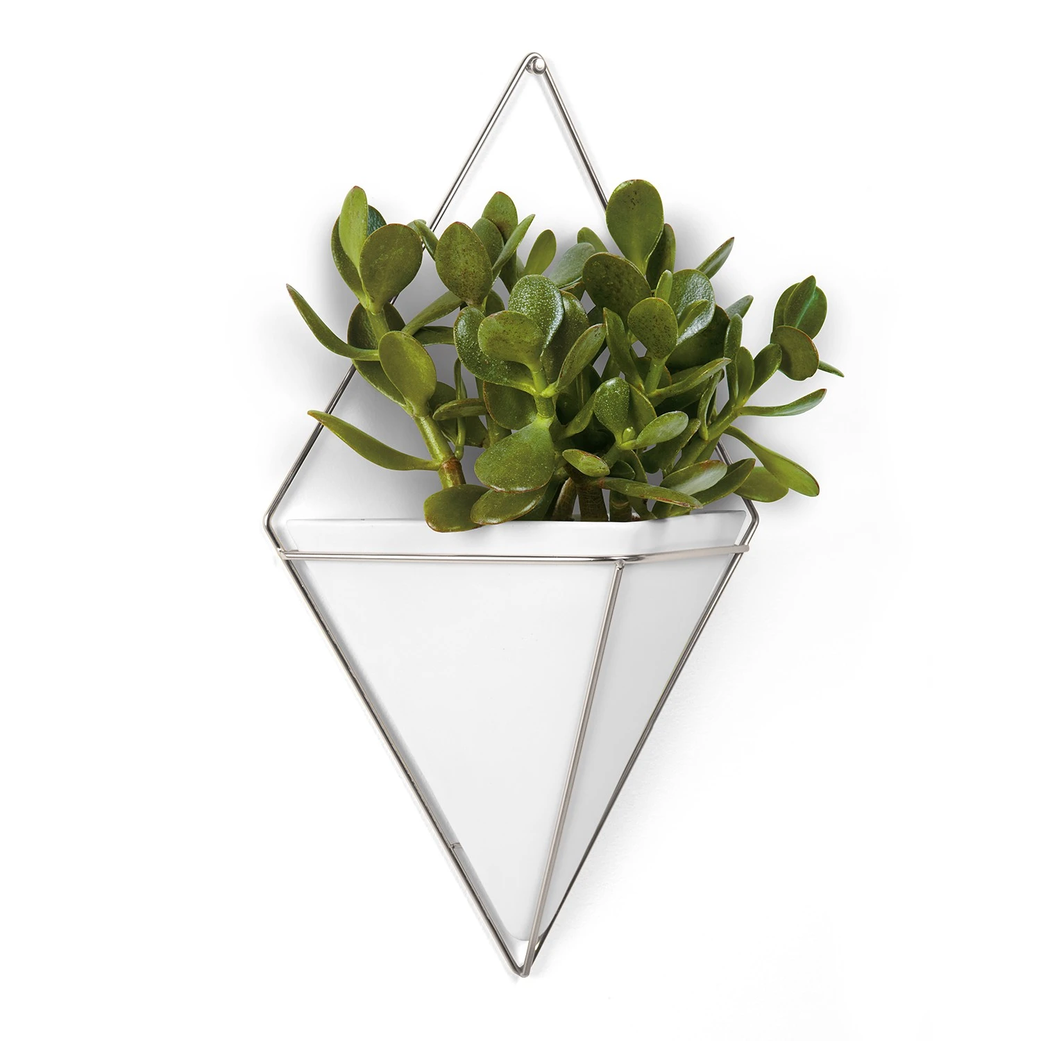 Umbra Wandvase Trigg - Weiß / Nickel 9 Umbra Wandvase Trigg - Weiß / Nickel – Bild 7