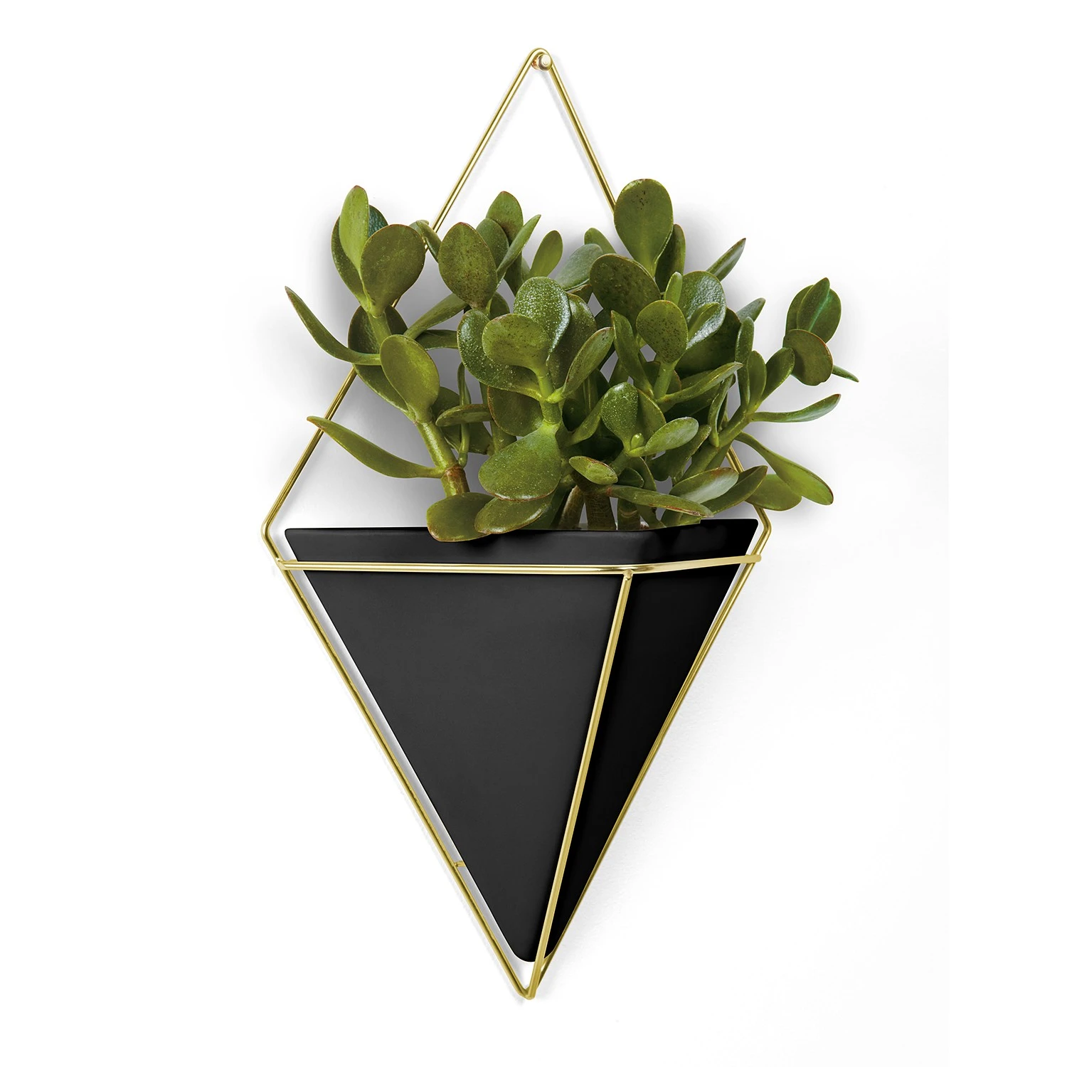 Umbra Wandvase Trigg - Schwarz / Messing 5 Umbra Wandvase Trigg - Schwarz / Messing – Bild 3