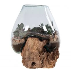 Twentyfour Dekoobjekt San Marino II - Teakholz / Kristallglas - Braun -Günstiges Deko Geschäft 1000253675 210319 11463800186 DETAILS P000000001000253675