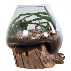 Twentyfour Dekoobjekt San Marino II - Teakholz / Kristallglas - Braun -Günstiges Deko Geschäft 1000253675 210319 11463800189 DETAILS P000000001000253675