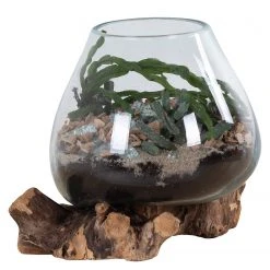 Twentyfour Dekoobjekt San Marino II - Teakholz / Kristallglas - Braun -Günstiges Deko Geschäft 1000253675 210319 11463800190 DETAILS P000000001000253675