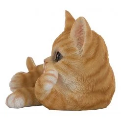 My Flair Dekofigur Katze Gizmo - Kunstharz / Polyresin - Natur -Günstiges Deko Geschäft 1000265733 210520 16220400512 DETAILS P000000001000265733