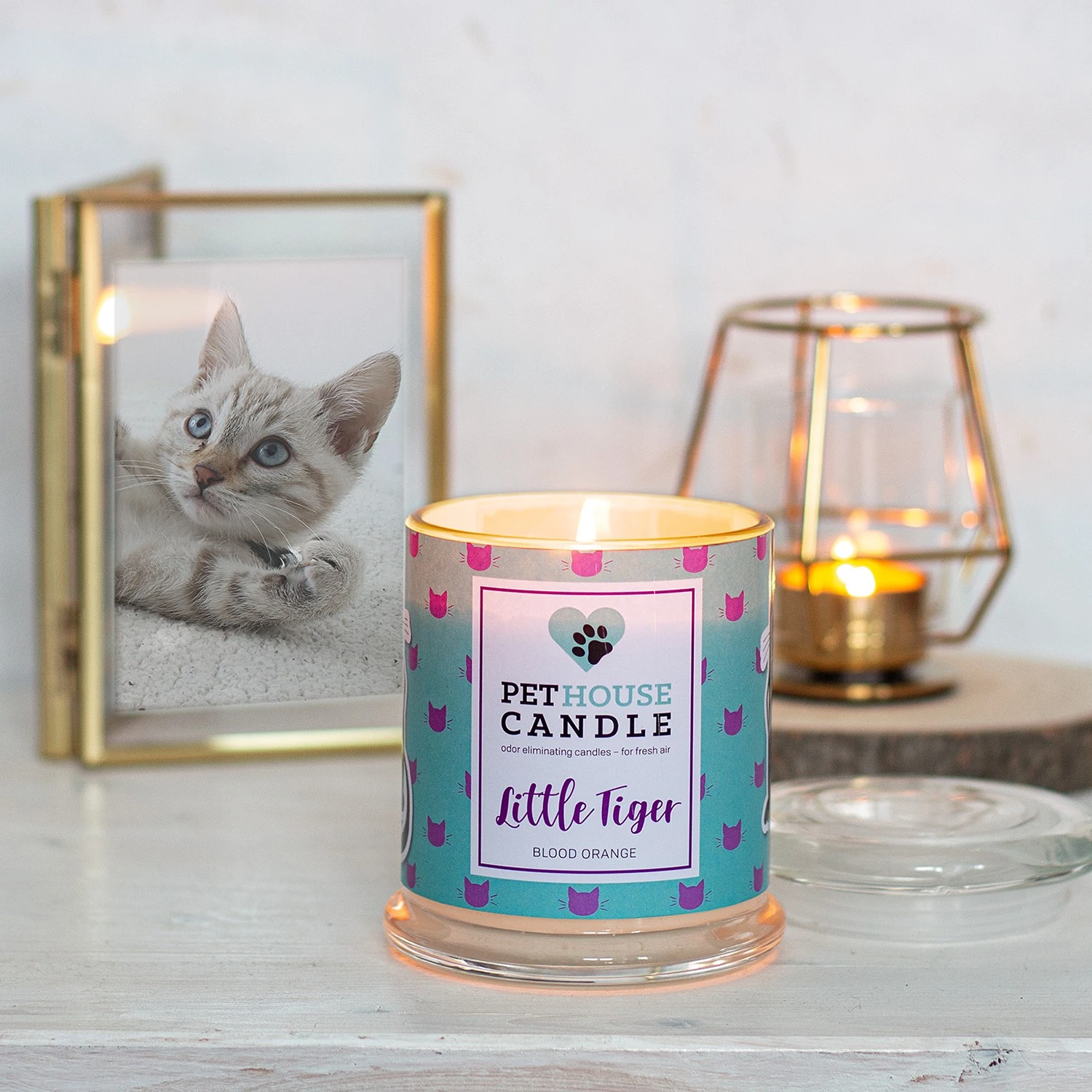 PetHouse Candle Duftkerze Pet House Blood Orange - Soja Wachs Mischung - Türkis 4 PetHouse Candle Duftkerze Pet House Blood Orange - Soja Wachs Mischung - Türkis – Bild 2