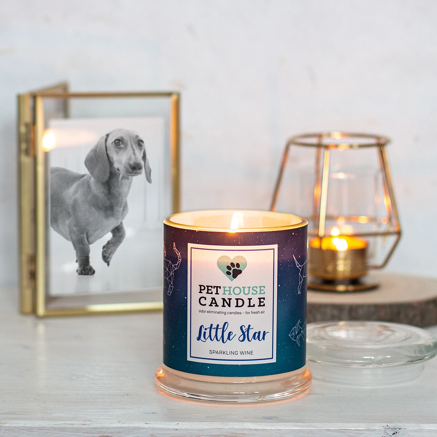 PetHouse Candle Duftkerze Sparkling Wine - Soja Wachs Mischung - Blau 4 PetHouse Candle Duftkerze Sparkling Wine - Soja Wachs Mischung - Blau – Bild 2