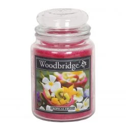 Woodbridge Candle Duftkerze Tropical Fruits - Veredeltes Paraffin - Rot - 565g