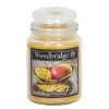 Woodbridge Candle Duftkerze Mango & Saffron - Veredeltes Paraffin - Orange - 565g 2 Woodbridge Candle Duftkerze Mango & Saffron - Veredeltes Paraffin - Orange - 565g -Günstiges Deko Geschäft 1000271511 210625 16473400145 IMAGE P000000001000271511