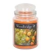Woodbridge Candle Duftkerze Orange Grove - Veredeltes Paraffin - Orange - 565g 1 Woodbridge Candle Duftkerze Orange Grove - Veredeltes Paraffin - Orange - 565g -Günstiges Deko Geschäft 1000271526 210625 16470900082 IMAGE P000000001000271526