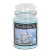 Woodbridge Candle Duftkerze Cotton Blossom - Veredeltes Paraffin - Blau - 565g -Günstiges Deko Geschäft 1000271529 210625 16471400096 IMAGE P000000001000271529
