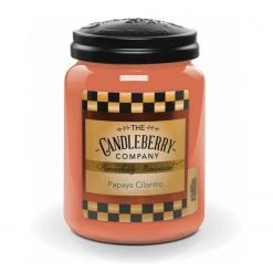 Candleberry Duftkerze Papaya Cilantro - Veredeltes Paraffin - Orange - 570g
