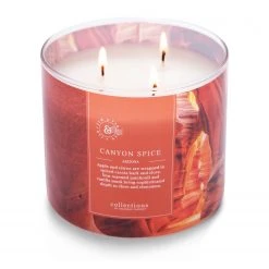Colonial Candle Duftkerze Canyon Spice - Soja Wachs Mischung - Orange - 411g -Günstiges Deko Geschäft 1000271676 210625 16502900441 DETAILS P000000001000271676