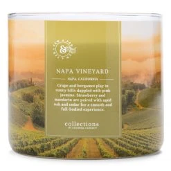 Colonial Candle Duftkerze Napa Vineyard - Soja Wachs Mischung - Grün - 411g -Günstiges Deko Geschäft 1000271677 210625 16510300437 DETAILS P000000001000271677