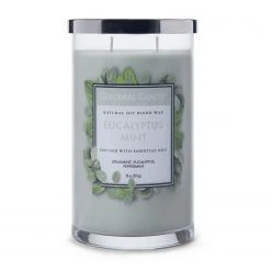 Colonial Candle Duftkerze Eucalyptus Mint - Soja Wachs Mischung - Grau - 538g