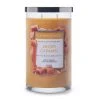 Colonial Candle Duftkerze Salted Caramel - Soja Wachs Mischung - Orange - 538g -Günstiges Deko Geschäft 1000271698 210625 16495300392 IMAGE P000000001000271698