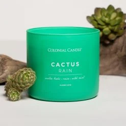 Colonial Candle Duftkerze Cactus Rain - Soja Wachs Mischung - Grün - 411g -Günstiges Deko Geschäft 1000271748 210625 16512100516 MOOD DETAILS P000000001000271748 mood