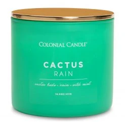 Colonial Candle Duftkerze Cactus Rain - Soja Wachs Mischung - Grün - 411g