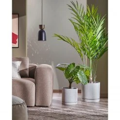 Twentyfour Pflanzkübel Kwanti (2-teilig) - Zement - Grau -Günstiges Deko Geschäft 1000276172 210625 13514800160 MOOD DETAILS P000000001000276172 mood