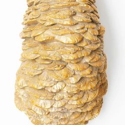 Kare Design Wandschmuck Ostrich - Gold - Stein -Günstiges Deko Geschäft 1000277539 210707 09472700099 DETAILS P000000001000277539