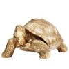 Deko Figur Turtle - Stein - Gold -Günstiges Deko Geschäft 1000277578 210707 09514300347 IMAGE P000000001000277578