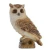 My Flair Dekofigur Eule Winny - Polyresin - Braun -Günstiges Deko Geschäft 1000294720 210930 13535500057 IMAGE P000000001000294720
