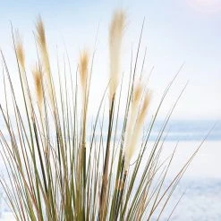 Twentyfour Kunstpflanze Wildgras - Kunststoff - Grün -Günstiges Deko Geschäft 1000309630 211118 11270300130 DETAILS P000000001000309630