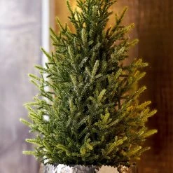 Twentyfour Kunstpflanze Tannenbäumchen Glitter - Kunststoff - Grün -Günstiges Deko Geschäft 1000309668 211118 11270400159 DETAILS P000000001000309668