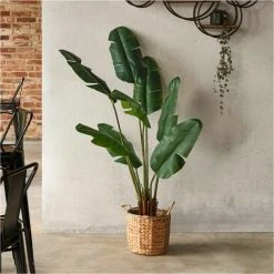 Twentyfour Kunstpflanze Traveller Palme - Eisen / Polyethylen - Grün / Braun -Günstiges Deko Geschäft 1000309733 211118 11271300362 MOOD DETAILS P000000001000309733 mood