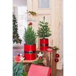 Twentyfour Übertopf Jolly (2-teilig) - Metall - Rot -Günstiges Deko Geschäft 1000309742 211118 11273200858 MOOD DETAILS P000000001000309742 mood