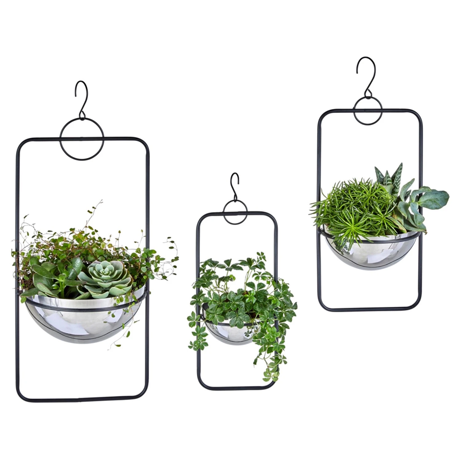 Twentyfour Pflanzenhänger Himba (3-teilig) - Edelstahl - Schwarz 5 Twentyfour Pflanzenhänger Himba (3-teilig) - Edelstahl - Schwarz – Bild 3