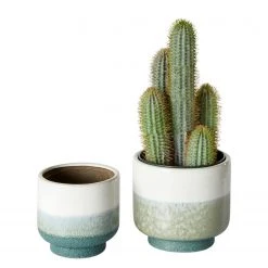 Twentyfour Pflanztopf Insa (2-teilig) - Steingut - Grün / Weiß -Günstiges Deko Geschäft 1000309840 211118 11272900798 DETAILS P000000001000309840