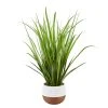 Twentyfour Kunstpflanze Schilf - Polyethylen - Grün -Günstiges Deko Geschäft 1000309900 211118 11272400646 IMAGE P000000001000309900