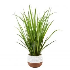 Twentyfour Kunstpflanze Schilf - Polyethylen - Grün