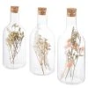 Twentyfour Deko-Flaschen Wiesengräser (3er-Set) - Gras/ Kork - Natur / Transparent 2 Twentyfour Deko-Flaschen Wiesengräser (3er-Set) - Gras/ Kork - Natur / Transparent -Günstiges Deko Geschäft 1000309915 211118 11272600706 IMAGE P000000001000309915