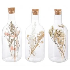 Twentyfour Deko-Flaschen Wiesengräser (3er-Set) - Gras/ Kork - Natur / Transparent -Günstiges Deko Geschäft 1000309915 211118 11272700736 DETAILS P000000001000309915