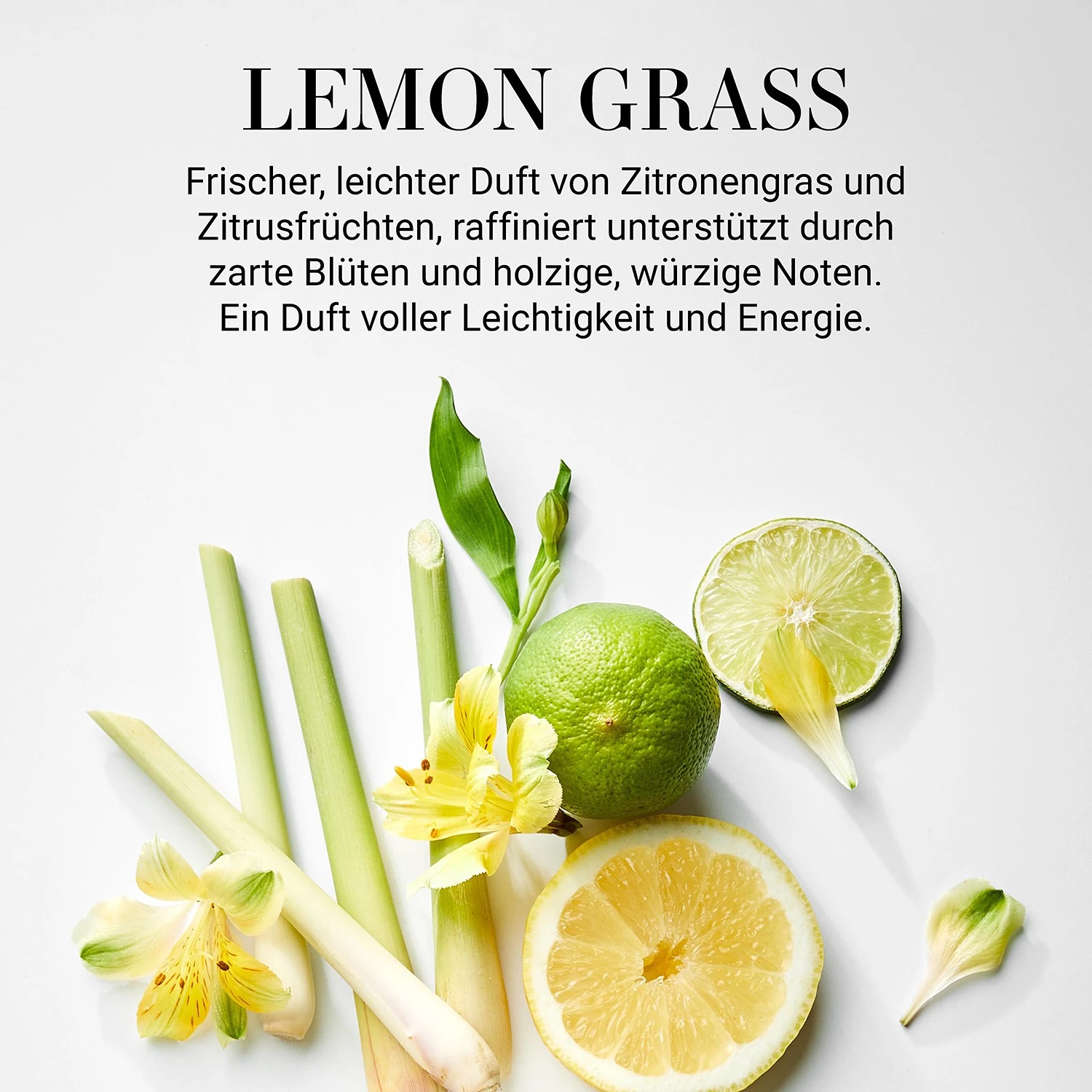 Butlers Duftöl ESSENCE Lemon Grass - Glas / Kunststoff / Raumduft - Braun 5 Butlers Duftöl ESSENCE Lemon Grass - Glas / Kunststoff / Raumduft - Braun – Bild 3