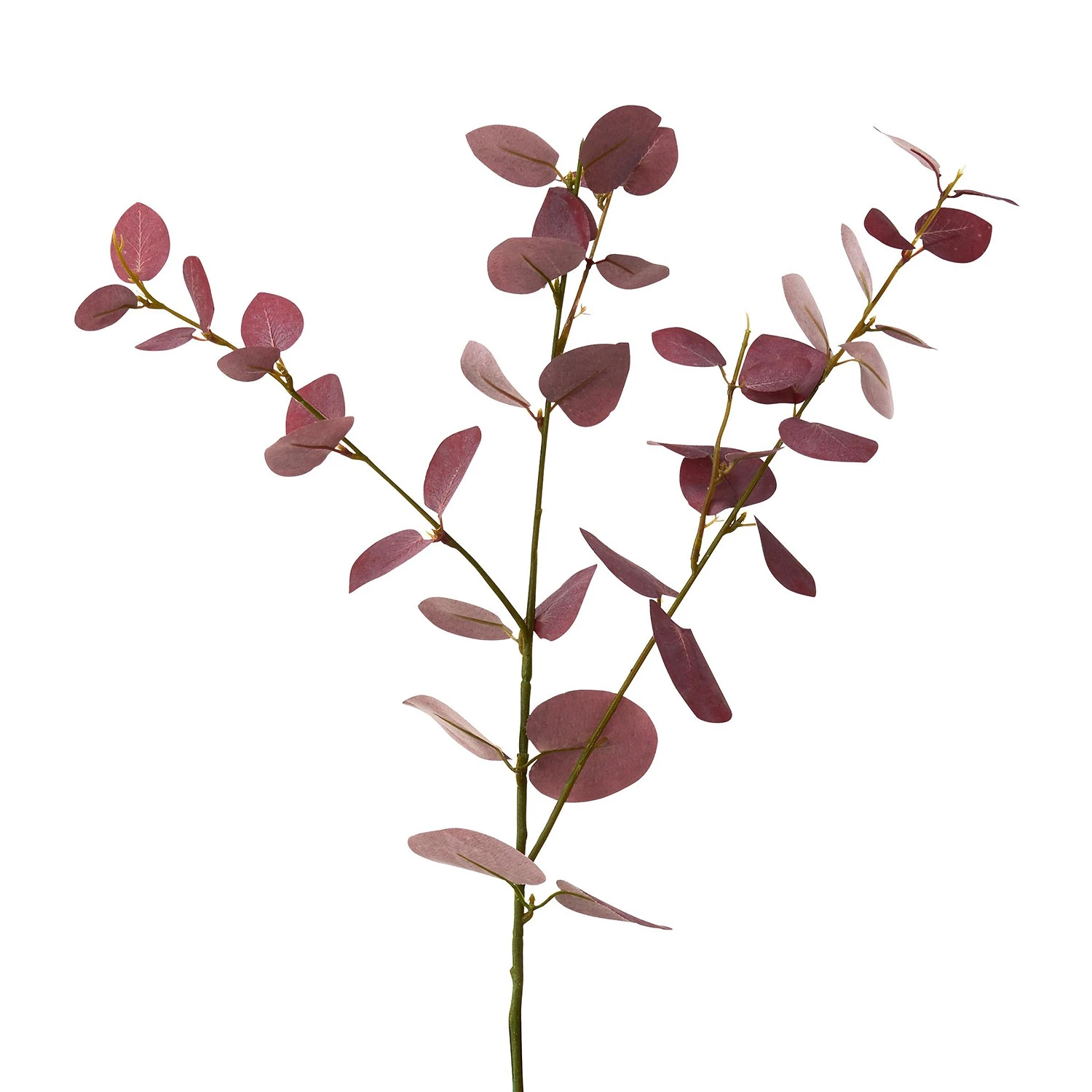 Butlers Eukalyptuszweig-Set FLORISTA (4-tlg.) - PVC / Eisendraht / Polyethylen / Foam (Schaumstoff) - Rot 4 Butlers Eukalyptuszweig-Set FLORISTA (4-tlg.) - PVC / Eisendraht / Polyethylen / Foam (Schaumstoff) - Rot – Bild 2