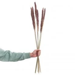 Butlers Trockenblumen FLOWER MARKET - Pflanzenblatt - Natur -Günstiges Deko Geschäft 1000339871 220310 040 DETAILS P000000001000339871