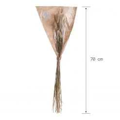 Butlers Trockenblumen Lagurusgras FLOWER MARKET - Pflanzenblatt - Natur 9 Butlers Trockenblumen Lagurusgras FLOWER MARKET - Pflanzenblatt - Natur -Günstiges Deko Geschäft 1000339876 220310 500 SKETCH DETAILS P000000001000339876 sketch