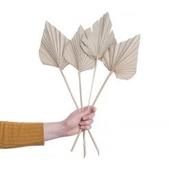 Butlers Palmblätter-Set FLOWER MARKET (4-tlg.) - Pflanzenblatt - Natur -Günstiges Deko Geschäft 1000339880 220310 040 DETAILS P000000001000339880 1